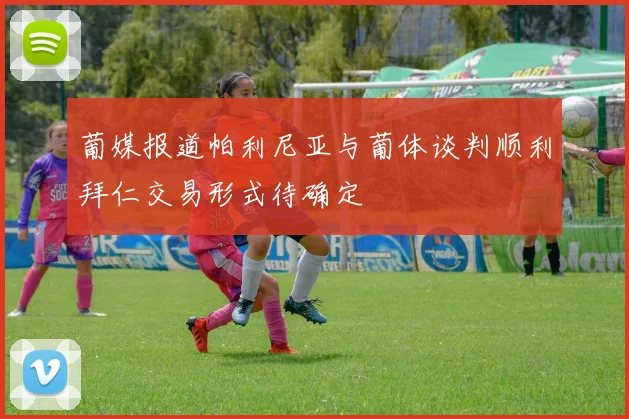 葡媒报道帕利尼亚与葡体谈判顺利拜仁交易形式待确定